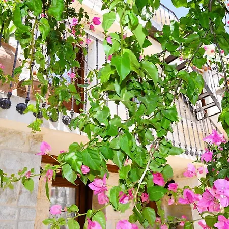 Athina - Irene Apartment